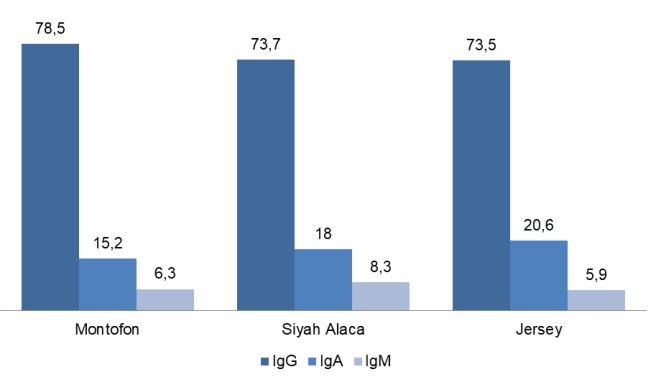 Irklara Göre Kolostrum Ig