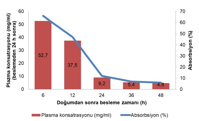 kolostrum besleme zamanı