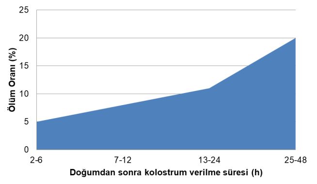 Kolostrum-buzağı ölüm oranı